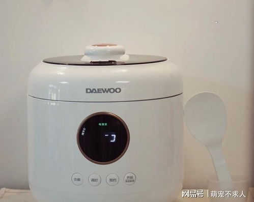 有哪些高顏值的小家電值得入手 這7件真心不錯(cuò),精致又實(shí)用